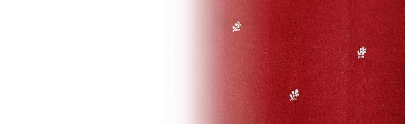 Sanskar Saree Banner