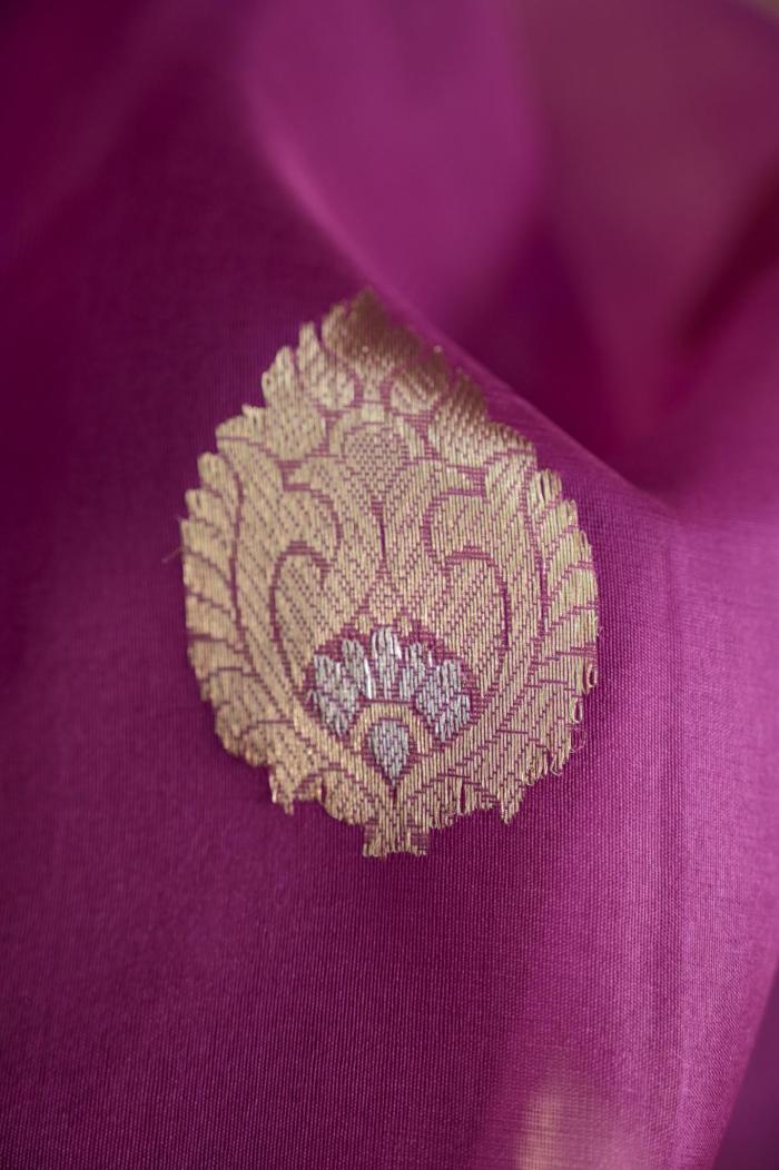 Rani Pure Organza Handloom Ombre Dye Banarasi Saree