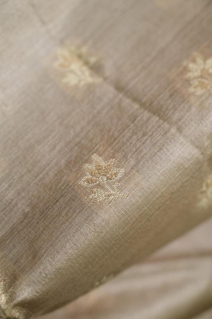 Tussar Chynia Silk Traditional Border Booti Banarasi Saree