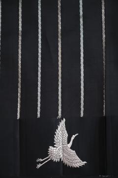 Black Mango Handloom Banarasi Saree