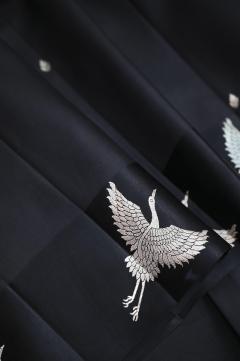 Black Mango Handloom Banarasi Saree