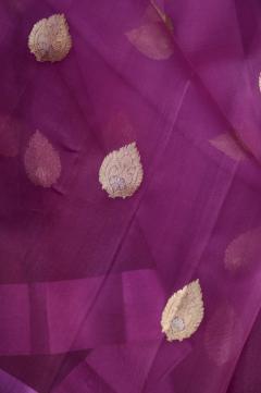 Rani Pure Organza Handloom Ombre Dye Banarasi Saree
