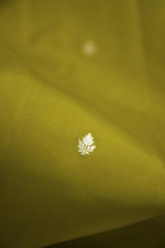 Pure Mango Banarasi Handloom Saree – Devdas