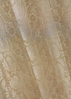 Pure Banarasi Dupion Silk Saree with Tussar Shades